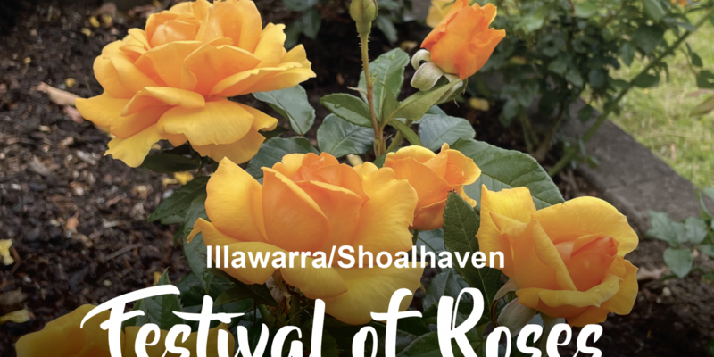Illawarra Shoalhaven Festival of Roses