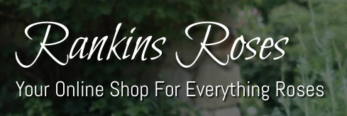 Rankins Roses